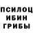 Галлюциногенные грибы Magic Shrooms Oleg Karbaev