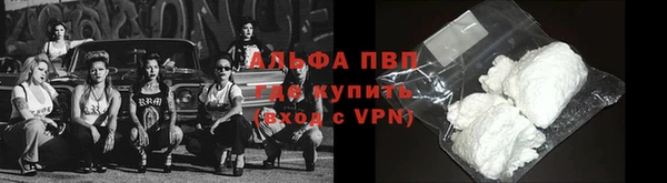 кокс Бородино