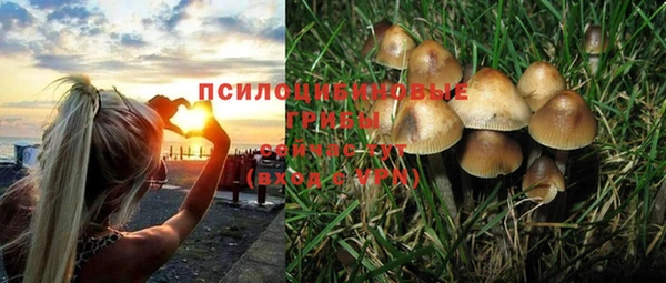 кокс Бородино