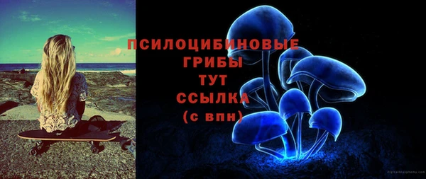кокс Бородино