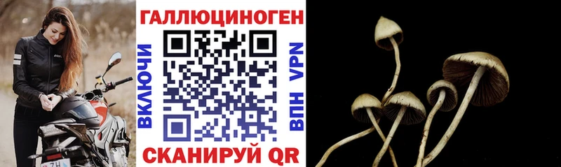 мега ссылка  купить наркотик  Верхний Тагил  Галлюциногенные грибы Magic Shrooms 